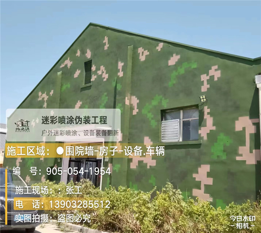 泉州外墙数码迷彩漆施工报价清单（100㎡标准墙面测算）
